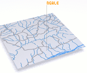 3d view of Ngale