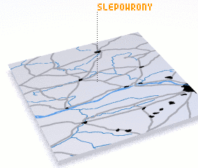3d view of Ślepowrony