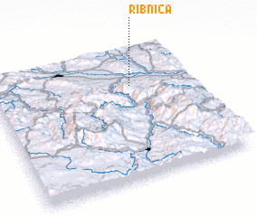 3d view of Ribnica