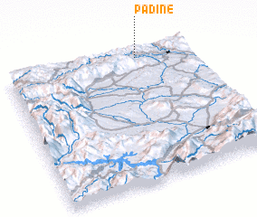 3d view of Padine