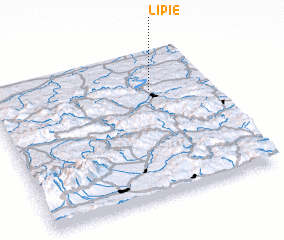 3d view of Lipie