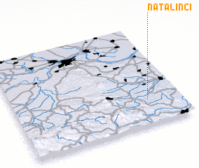 3d view of Natalinci