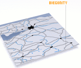 3d view of Biegonity
