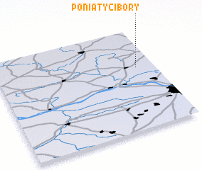 3d view of Poniaty Cibory