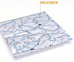 3d view of Paleśnica