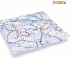 3d view of Koznica