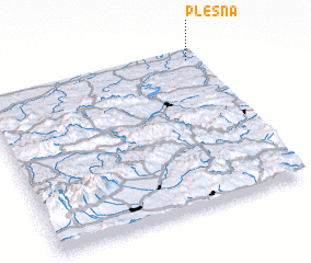 3d view of Pleśna