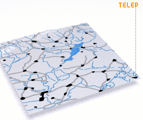 3d view of Telep