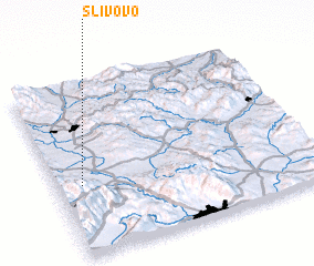 3d view of Slivovo