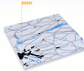 3d view of Borki