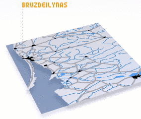 3d view of Bruzdeilynas