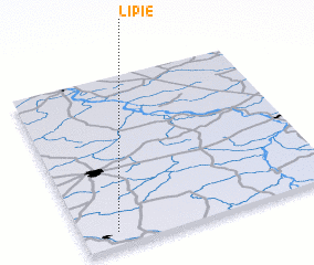 3d view of Lipie