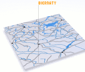 3d view of Biernaty