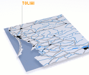 3d view of Toliai