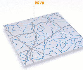 3d view of Payo