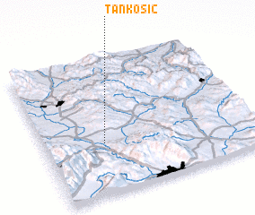 3d view of Tankosić