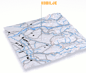 3d view of Kobilje
