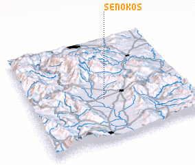 3d view of Senokos