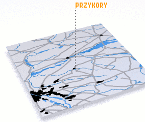 3d view of Przykory