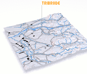 3d view of Tribrode