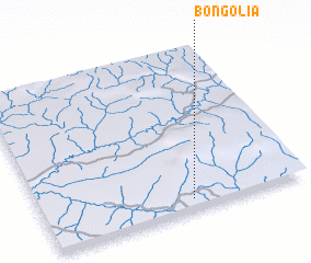 3d view of Bongolia