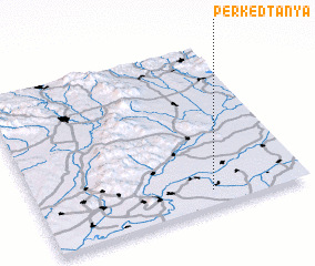 3d view of Perkedtanya