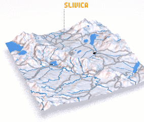 3d view of Slivica