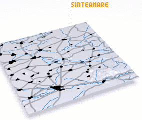 3d view of Sintea Mare