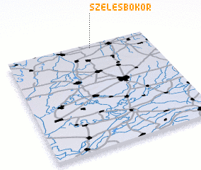 3d view of Szelesbokor