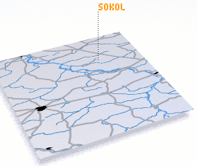 3d view of Sokoł