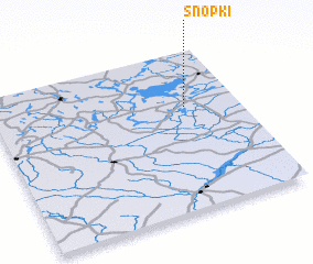 3d view of Snopki