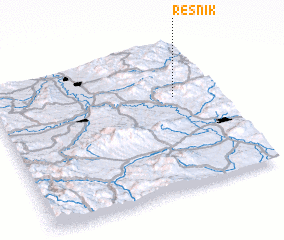 3d view of Resnik