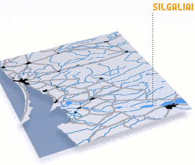 3d view of Šilgaliai