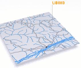 3d view of Liboko