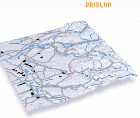 3d view of Prislop