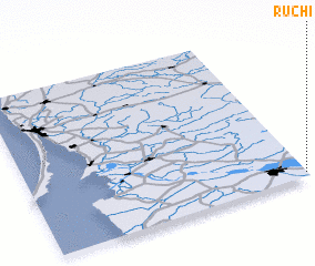 3d view of Ruch\