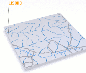 3d view of Lisoko