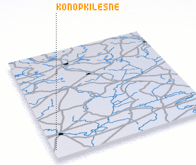 3d view of Konopki Leśne