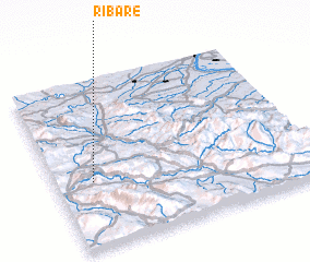 3d view of Ribare