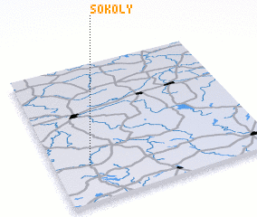3d view of Sokoły
