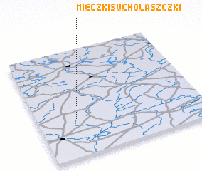 3d view of Mieczki Sucholaszczki