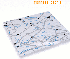 3d view of Ţigăneştii de Criş