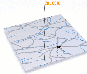3d view of Zalesie