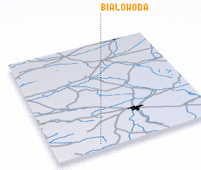 3d view of Białowoda