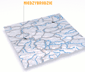 3d view of Międzybrodzie