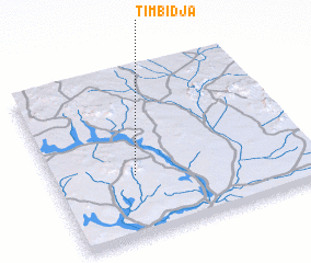 3d view of Timbidja