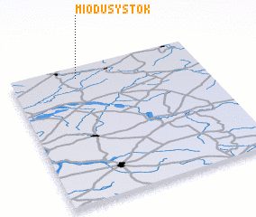 3d view of Miodusy Stok