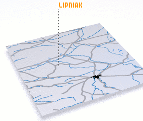 3d view of Lipniak