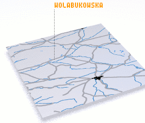 3d view of Wola Bukowska