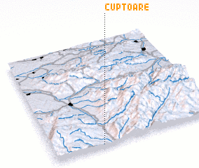 3d view of Cuptoare